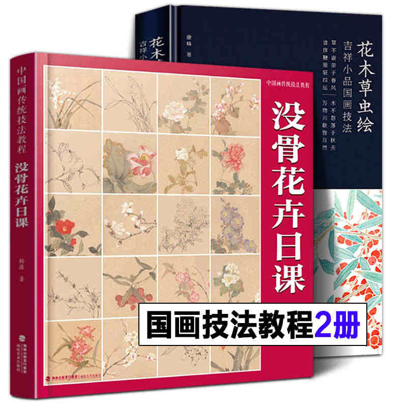 【附教学视频】没骨花卉日课+花木草虫绘吉祥小品国画技法 国画没骨花鸟画...