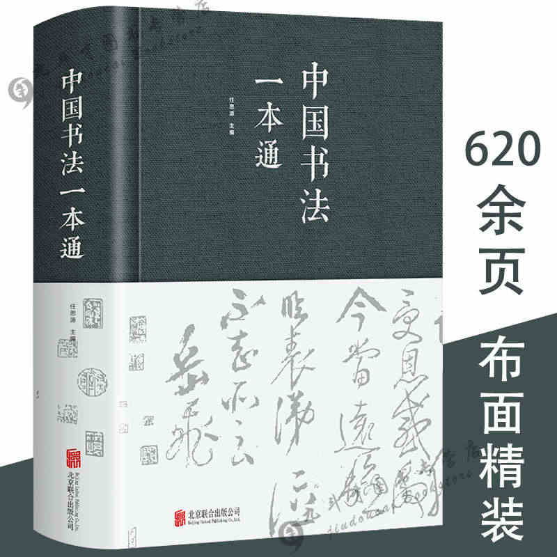 【正版布面精装】624页 中国书法一本通 任思源著书法的艺术常用笔法中...