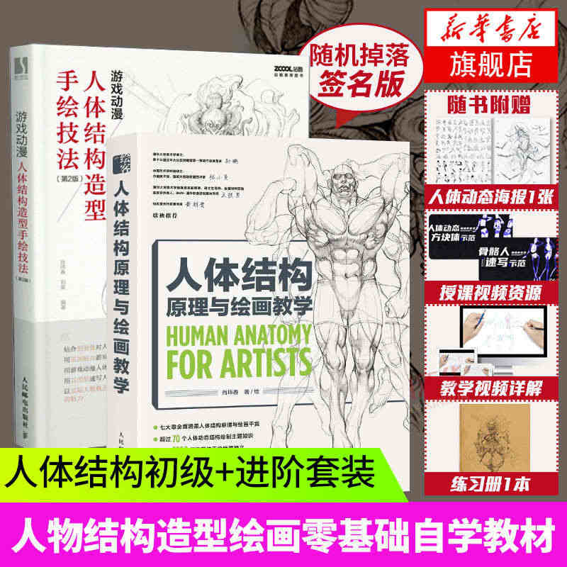 人体结构原理与绘画教学游戏动漫人体结构造型手绘技法画画的春哥伯里曼人物...