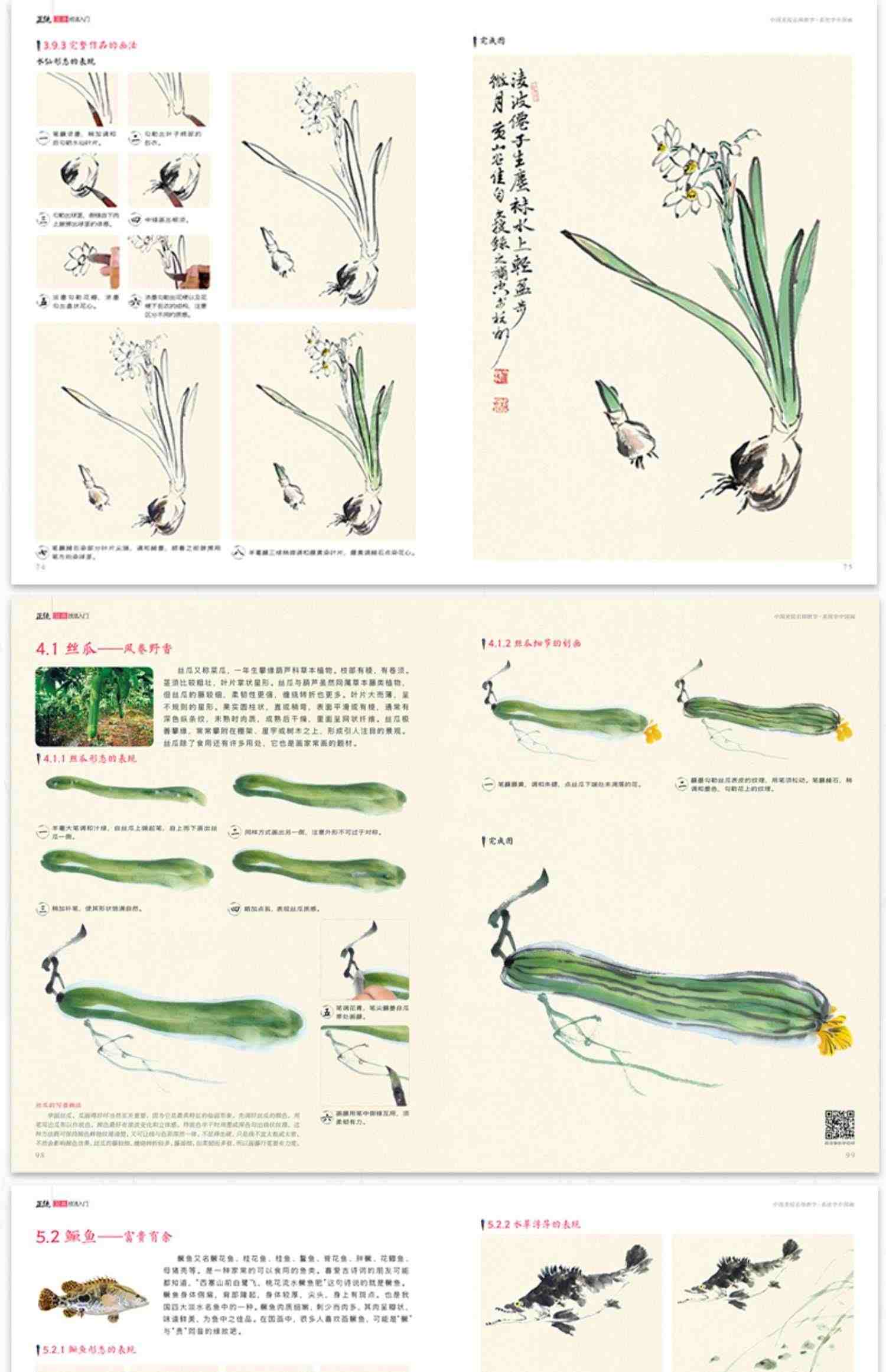 经典全集 正统国画技法入门零基础教程书籍写意临摹初学者自学少儿童教材动物花鸟牡丹梅兰竹菊水墨中国画图册范本大全 杨建飞