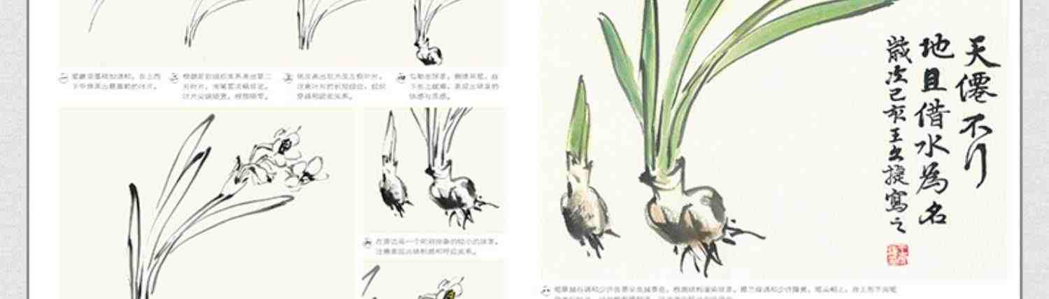 少儿国画入门基础（4册全套）花鸟蔬果动物鱼虫篇幼儿童初学画画实用临摹教材写意美术课件教程书籍起步 杨建飞