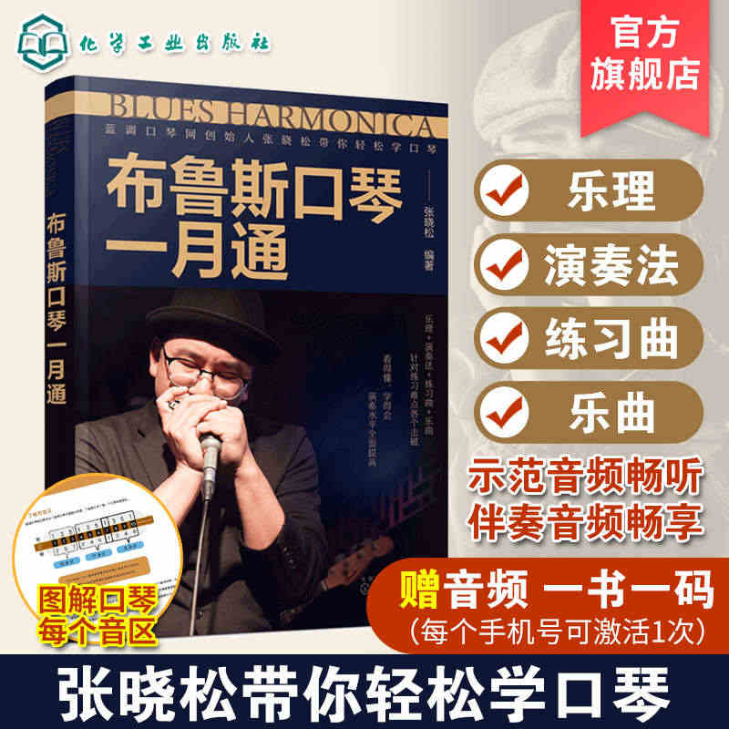 【官方正版】布鲁斯口琴一月通 赠音频 张晓松蓝调口琴创始人 口琴演奏技...