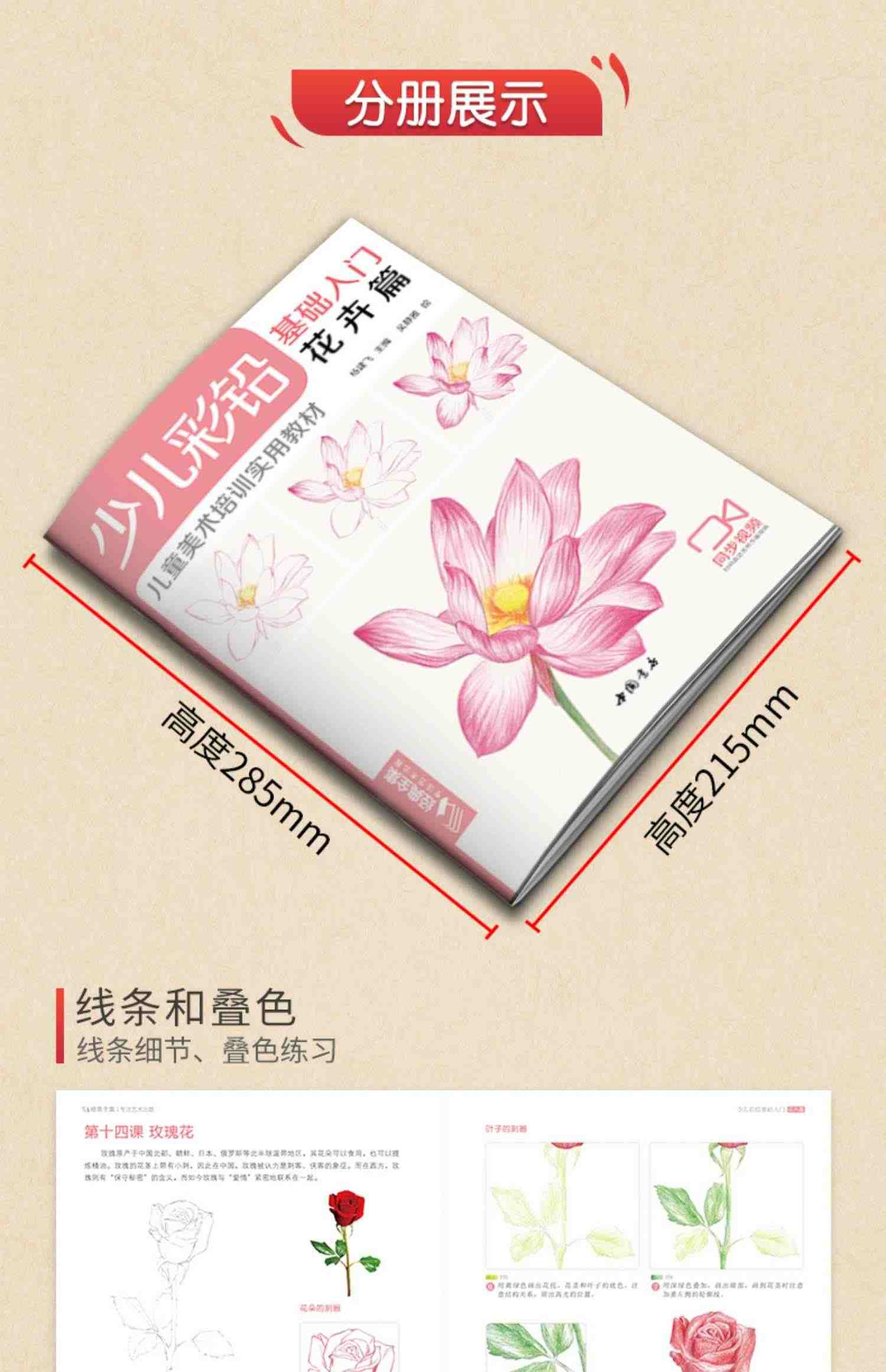 经典全集 少儿彩铅基础入门（4册全套）花卉动物玩具美食篇幼儿童实用零基础画画教材美术课教程书籍 视频同步教学 杨建飞