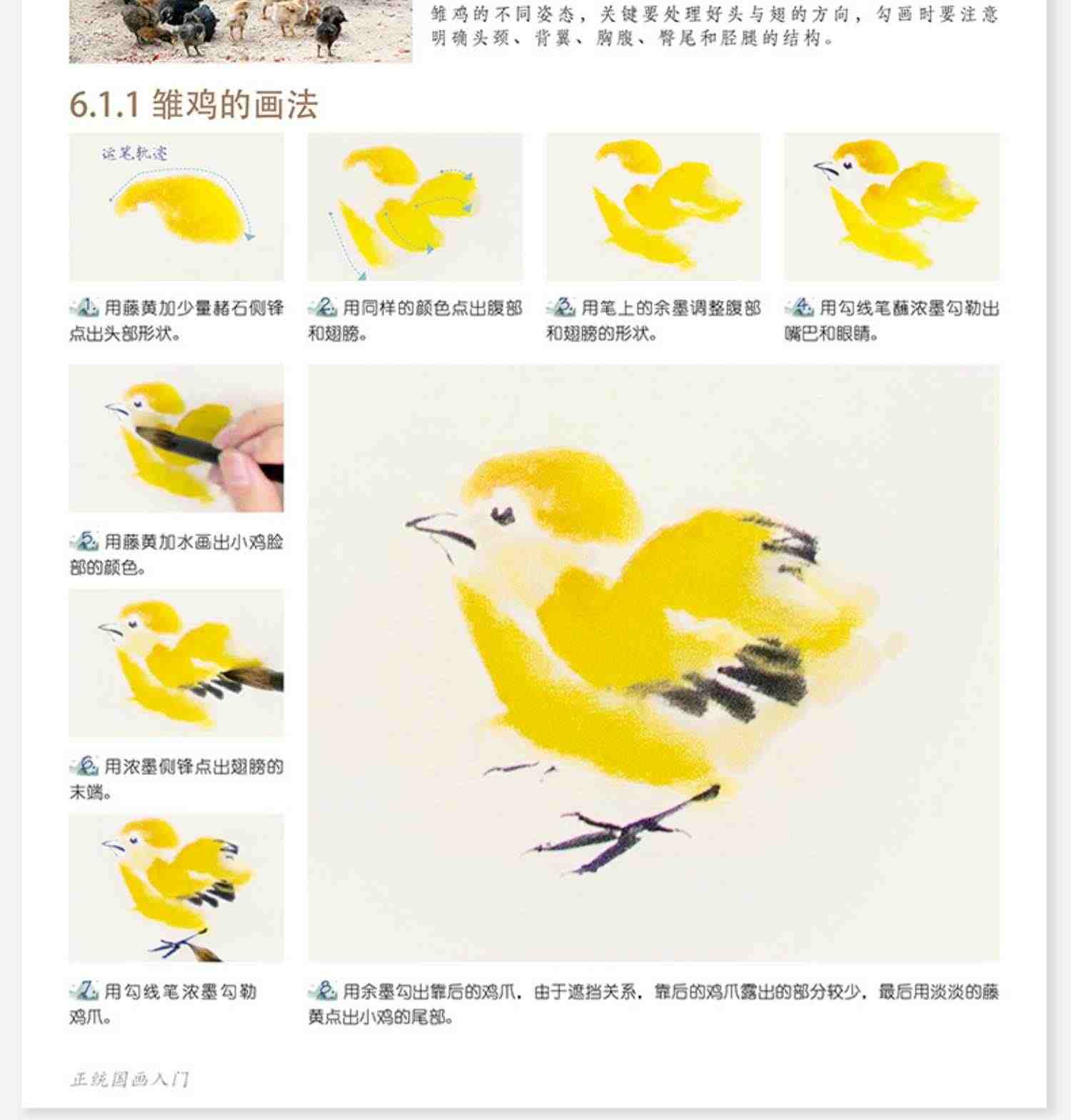 正统国画入门 零基础美术画基础教程书籍写意底稿临摹范本画册本绘画视频画画自学初学者儿童花鸟水墨技法少儿中国教学图册教材书