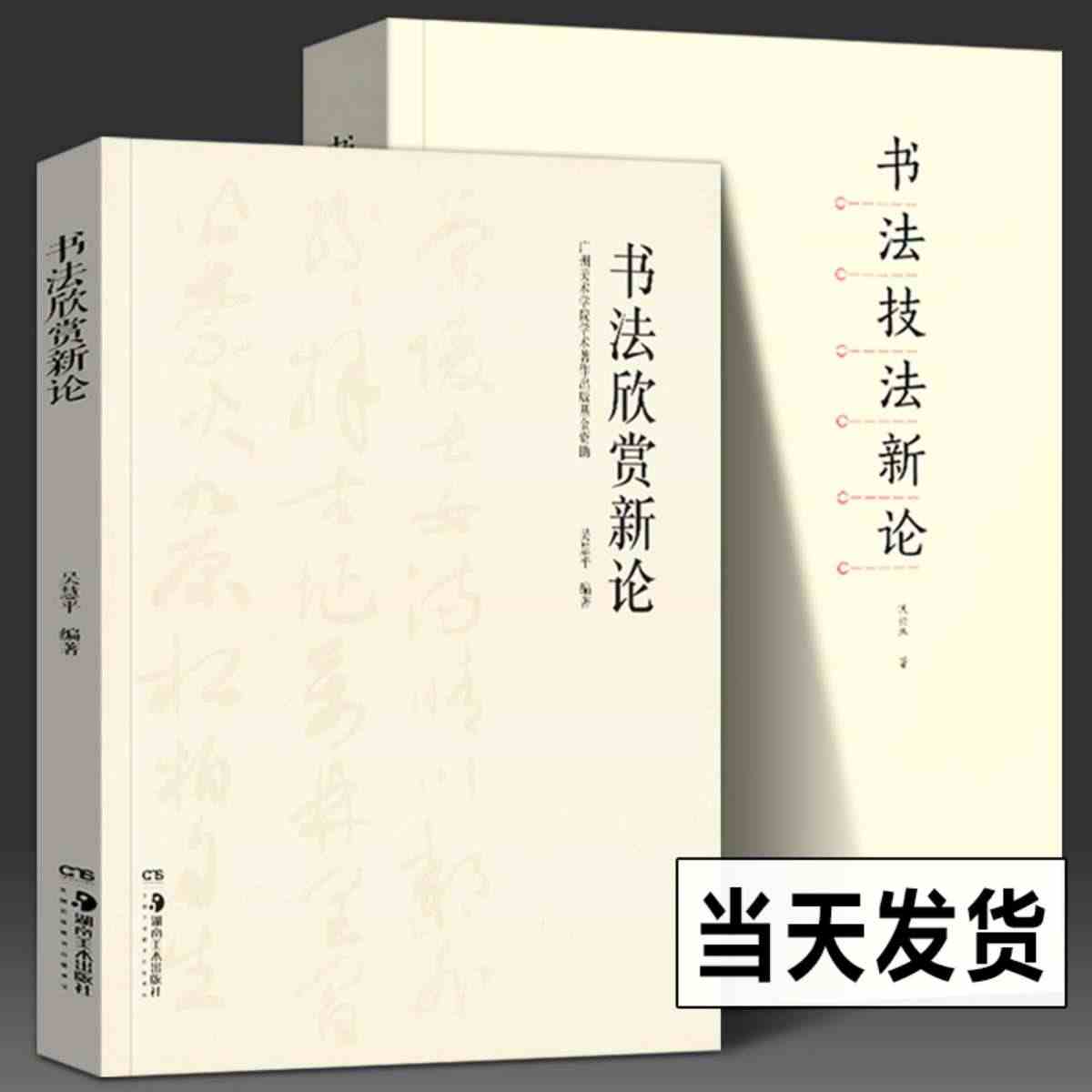 书法技法新论+书法欣赏新论 沃兴华 著 毛笔书法技法理论 中国书法章法...