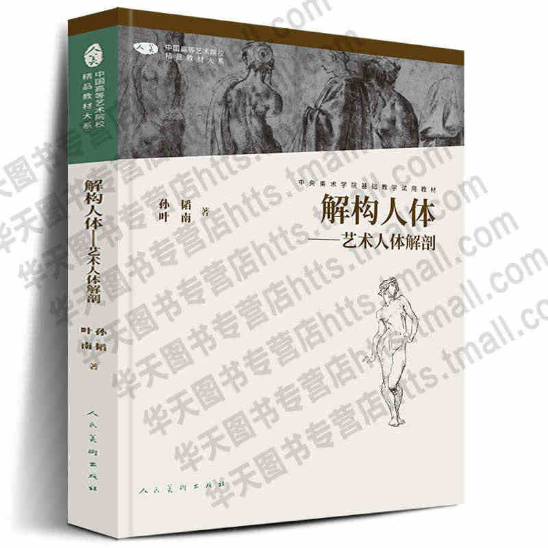 正版288页 解构人体-艺术人体解剖 素描速写绘画人体结构教学孙韬叶南...
