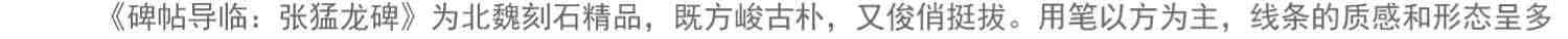 【放大本】北魏张猛龙碑 碑帖导临 楷书毛笔字帖集字作品初学者笔画结构技法教材附简体旁注 楷书入门学习教程书毛笔书法临摹字帖