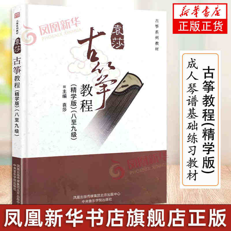 精装袁莎古筝教程8-9级 巧学版 古筝八-九级成人版古筝基础入门教程民...