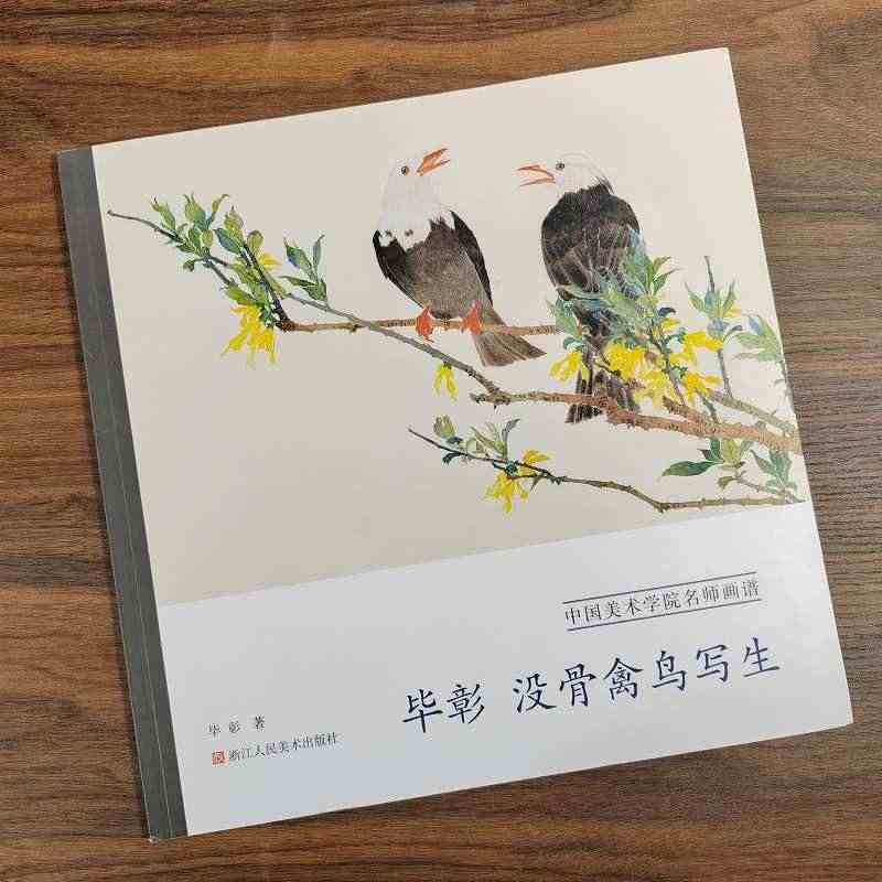 毕彰 没骨禽鸟写生 中国美术学院名师画谱 花鸟鉴赏 绘画技法训练步骤解...