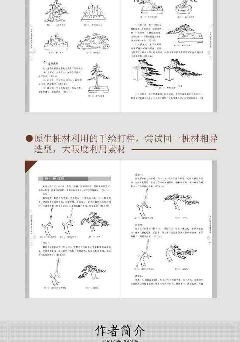 正版 图解树木盆景制作与养护 盆景书籍养花图书大全树木盆景造型设计书栽培技术入门教程中小型花卉盆景制作教材技艺图解家庭园艺