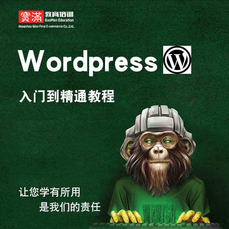 wordpress视频教程 wp主题域名企业快速建站视频教程教学实战教...