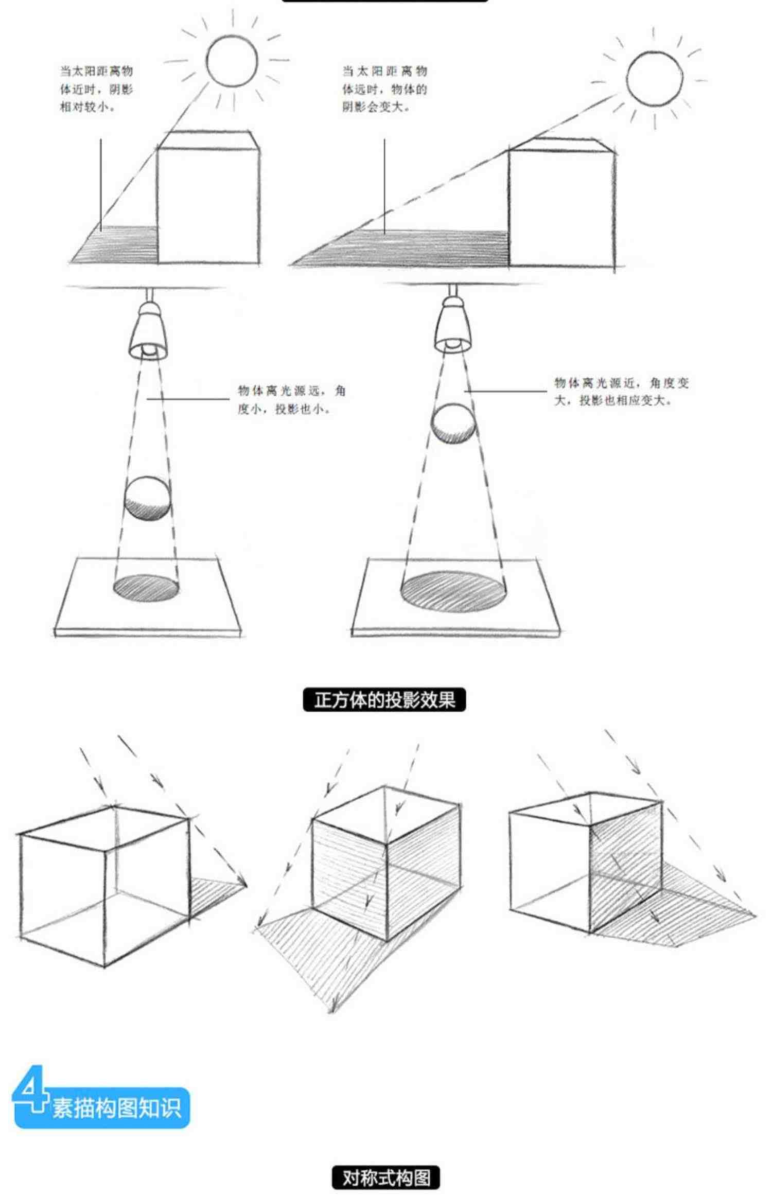 从零起步学素描 画画素描书入门自学零基础教程临摹教材书籍初学者铅笔 画绘画手绘结构静物人物头像石膏几何体美术基础速写画册本