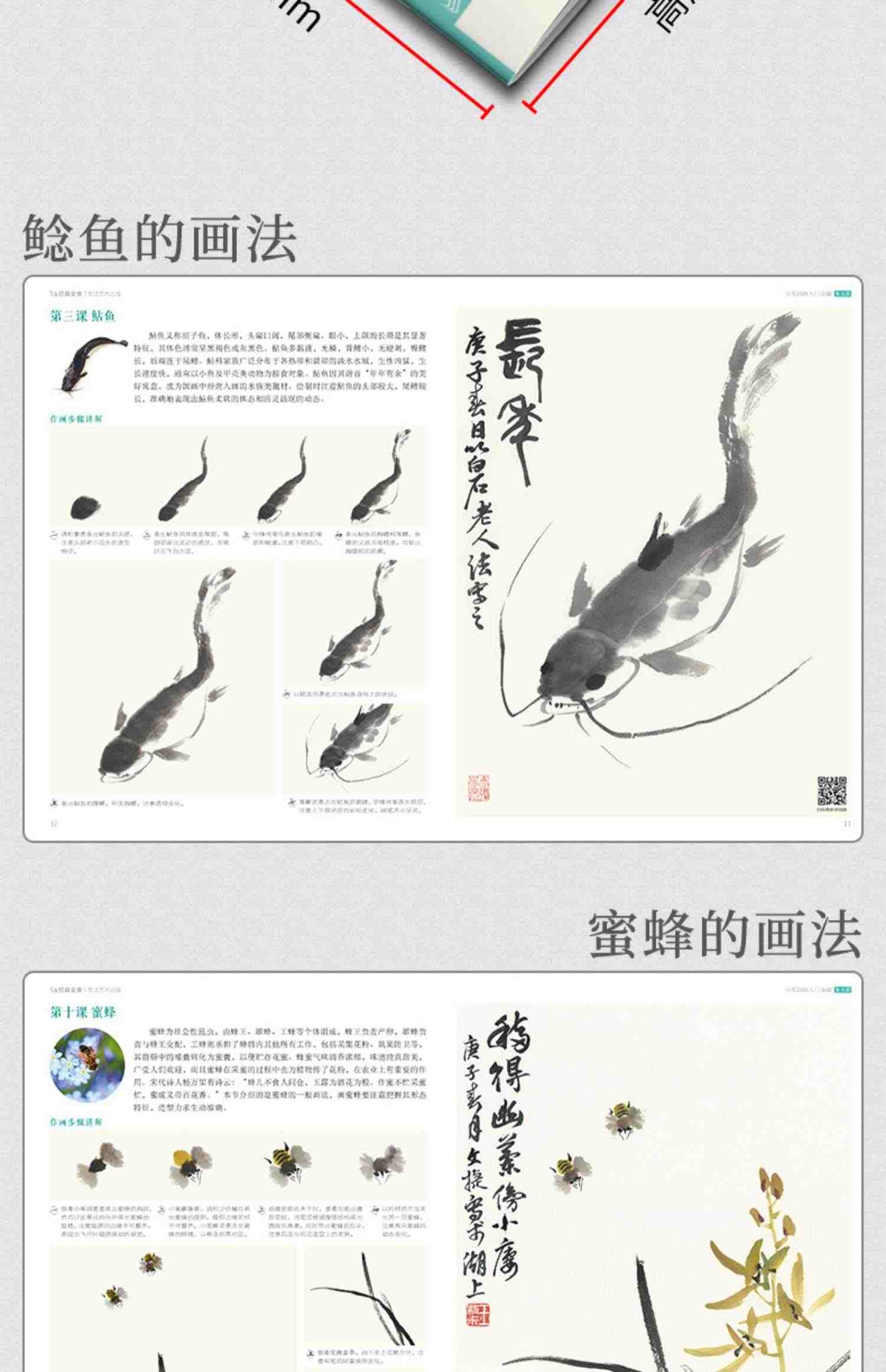 少儿国画入门基础（4册全套）花鸟蔬果动物鱼虫篇幼儿童初学画画实用临摹教材写意美术课件教程书籍起步 杨建飞