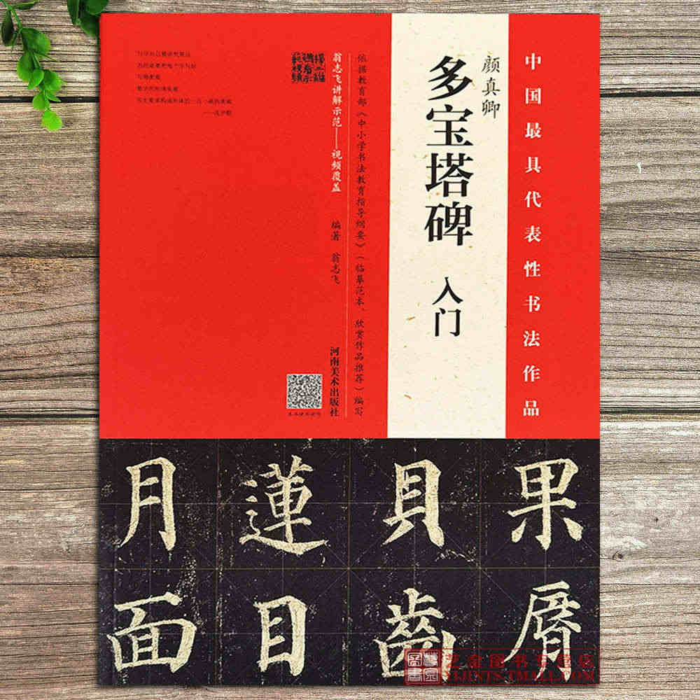 颜真卿多宝塔入门字帖 翁志飞实临解析颜真卿楷书教程多宝塔颜真卿毛笔字帖...