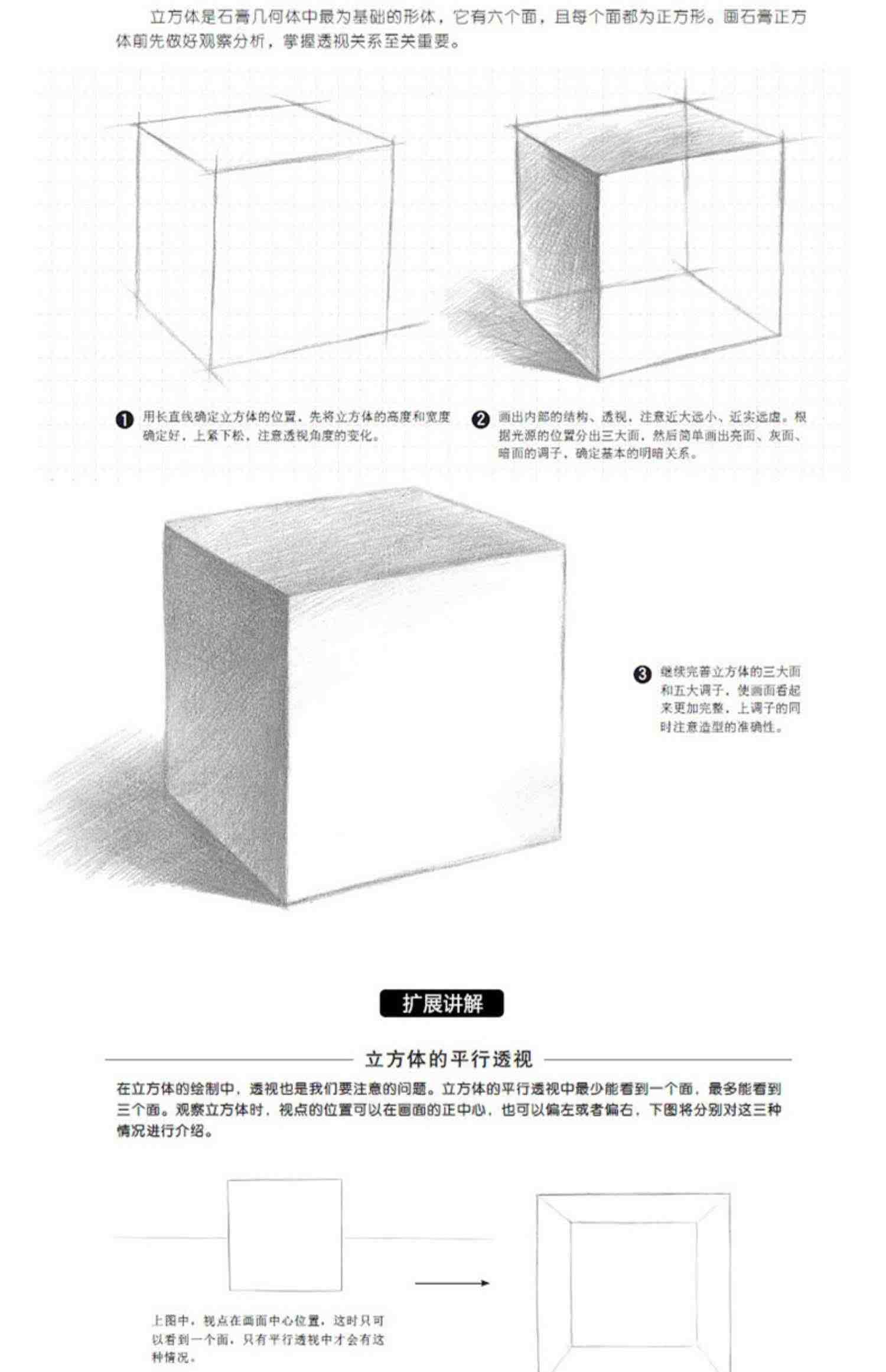 从零起步学素描 画画素描书入门自学零基础教程临摹教材书籍初学者铅笔 画绘画手绘结构静物人物头像石膏几何体美术基础速写画册本