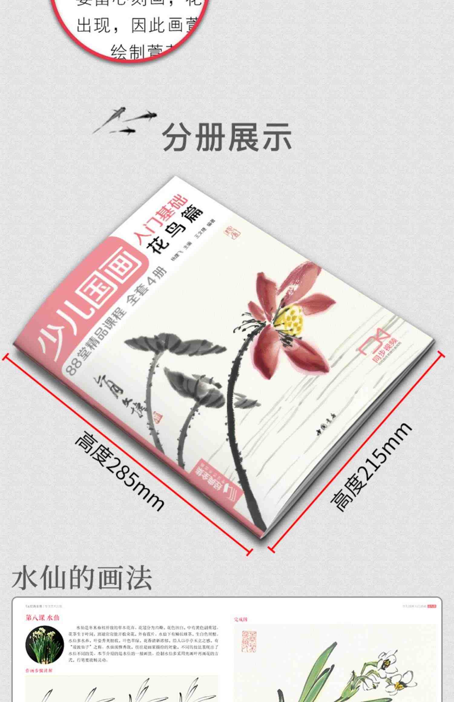 少儿国画入门基础（4册全套）花鸟蔬果动物鱼虫篇幼儿童初学画画实用临摹教材写意美术课件教程书籍起步 杨建飞