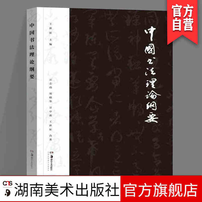 正版现货中国书法理论纲要中国书法文化研究鉴赏赏析教程书法创作原理历代书...