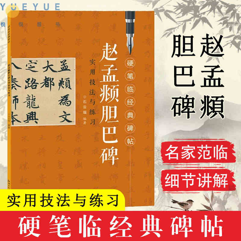 硬笔临经典碑帖 赵孟頫胆巴碑 实用技法与练习经典字帖书籍 硬笔书法入门教程 钢笔字帖田字格 江西美术出版社