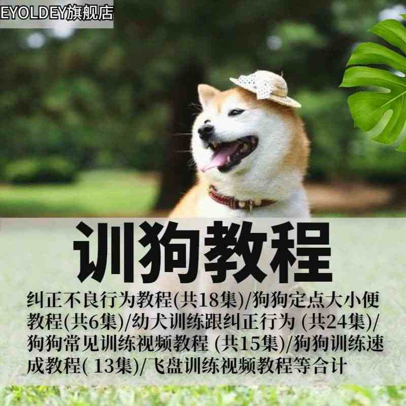 训狗教程视频课程教程幼犬训练狗上厕所定点大小便训飞盘训练服从...