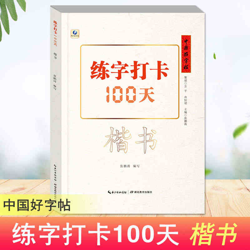 中国好字帖 练字打卡100天 楷书自学教程中小学生初学者正楷速成教材大...