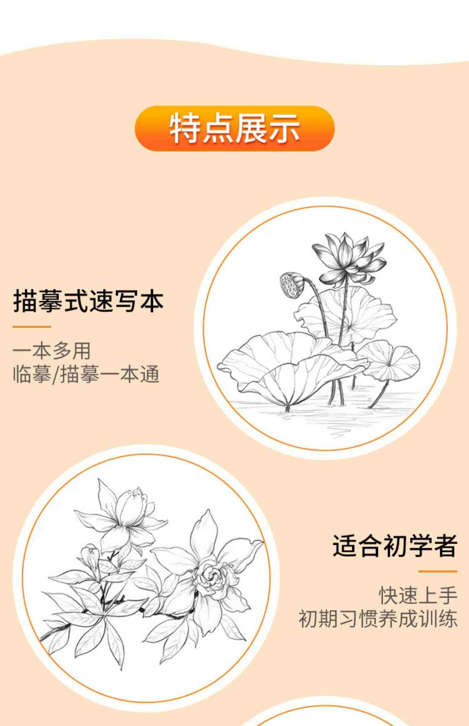 花卉速写描摹本 零基础画画入门新手自学教程书籍线描花卉临摹手绘初学者学绘画教材铅笔画素描速写描摹画稿美院名师范画