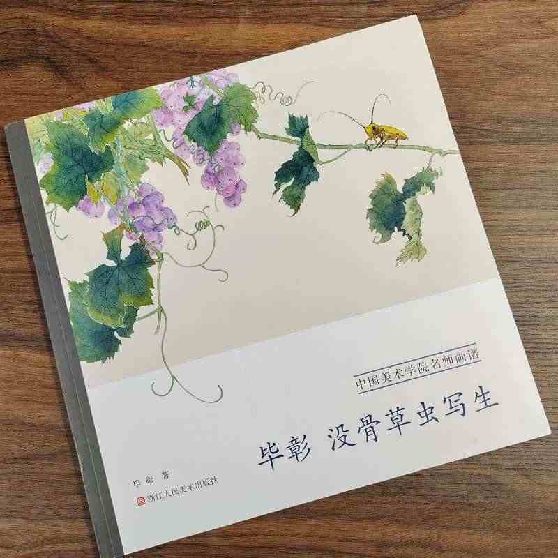 毕彰 没骨草虫写生 中国美术学院名师画谱 国画常见草虫绘画技法训练步骤...