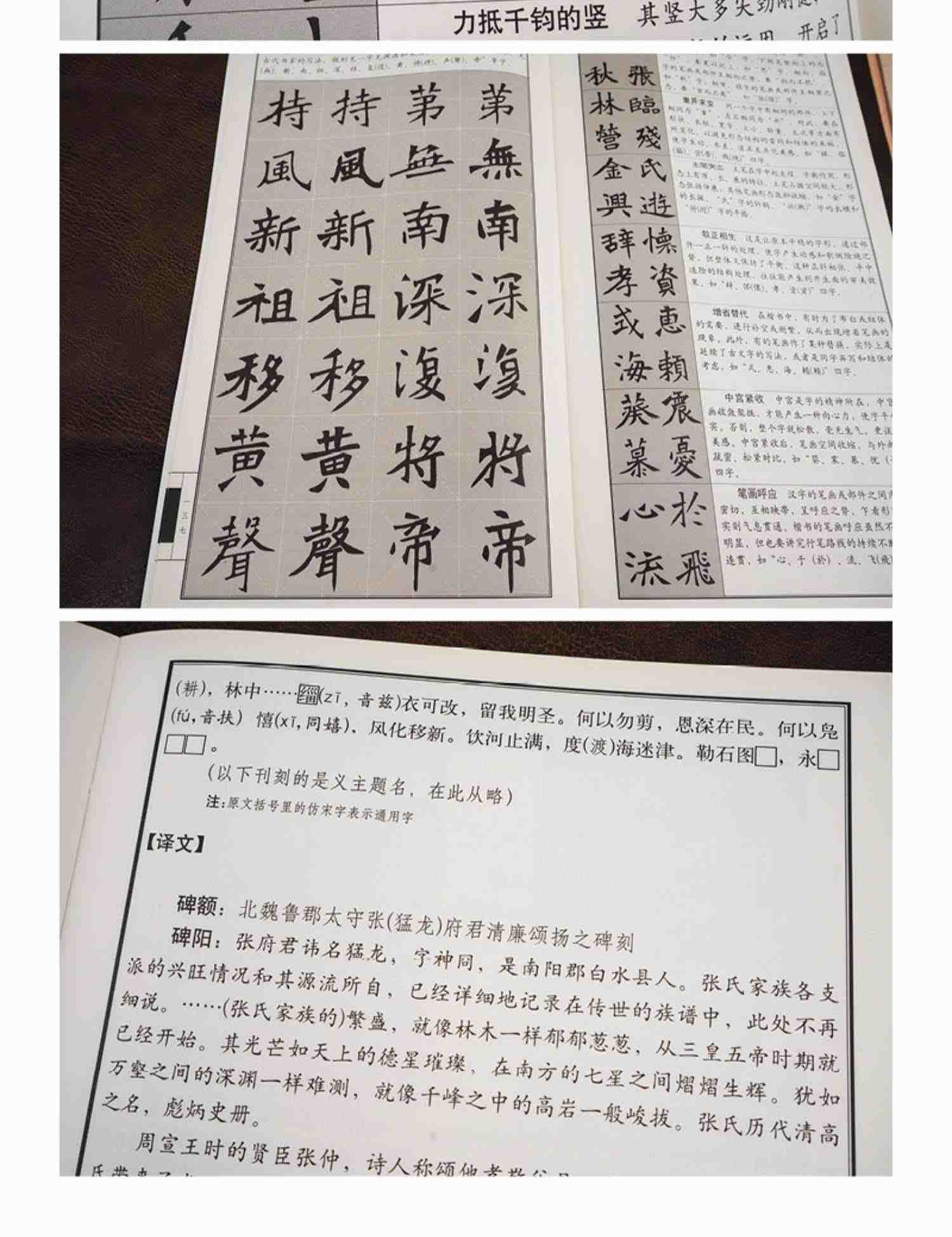 名碑名帖完全大观 张猛龙碑-魏碑魏楷毛笔软笔字帖原碑拓字放大初学者入门书法教程 江西美术出版社