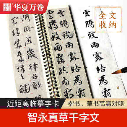 智永真草千字文墨迹本毛笔字帖 草书近距离临帖卡临摹字卡 草书毛笔书法字...