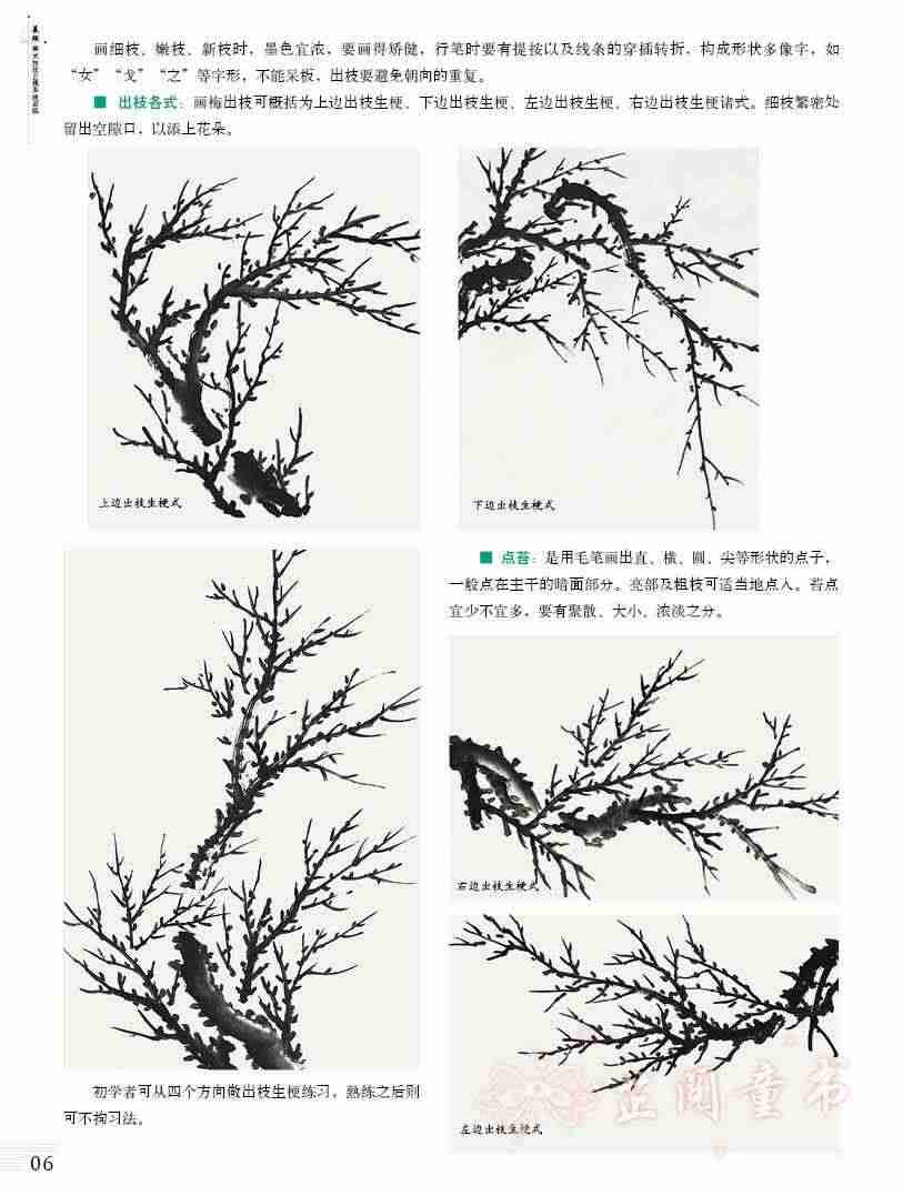 2册  国画起步系列 国画花鸟+国画山水 基础美术技法正规系统训练 初学者儿童零基础学国画画书水墨画教程中国画教材书