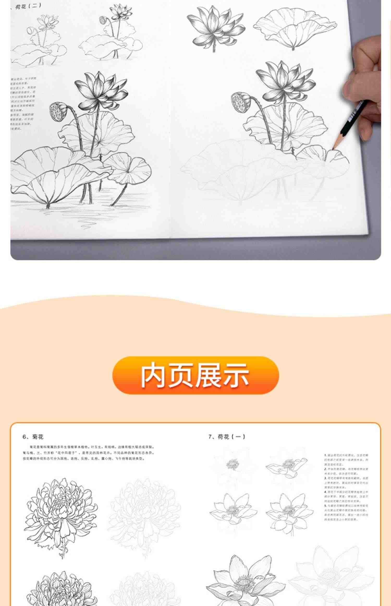 花卉速写描摹本 零基础画画入门新手自学教程书籍线描花卉临摹手绘初学者学绘画教材铅笔画素描速写描摹画稿美院名师范画