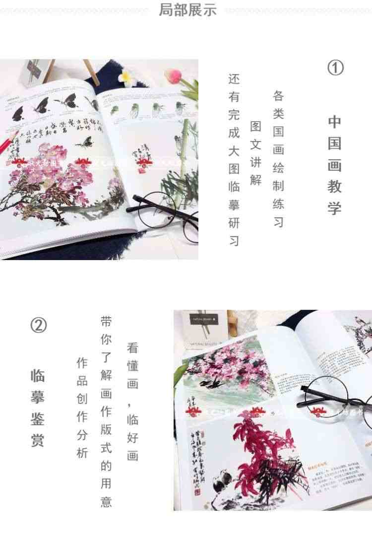 正版 中国画技法教学典范套装6册牡丹+蔬果+花鸟+兰竹+梅菊的画法零基础学传统水墨国画入门基础教程自学国画教程美术培训书籍