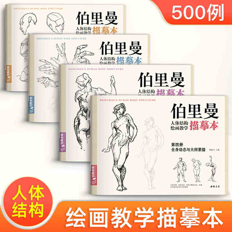 4册套装8K大开本 伯里曼人体结构教学描摹本 千余例绘画手稿浅印设计 ...