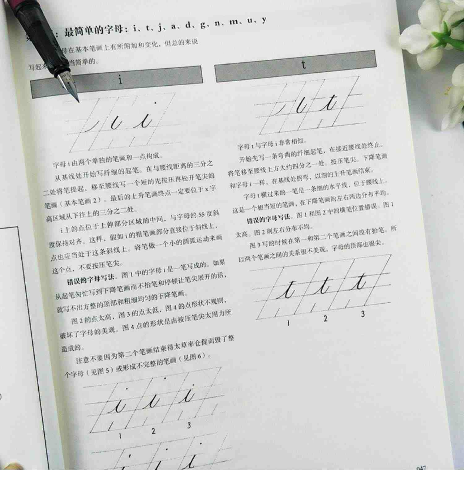 圆体字美国英文字体书法手册 复古圆体花体字书法临摹英文习字帖初学自学英语基础指导入门教程 钢笔英语圆字体书法作品临摹教材