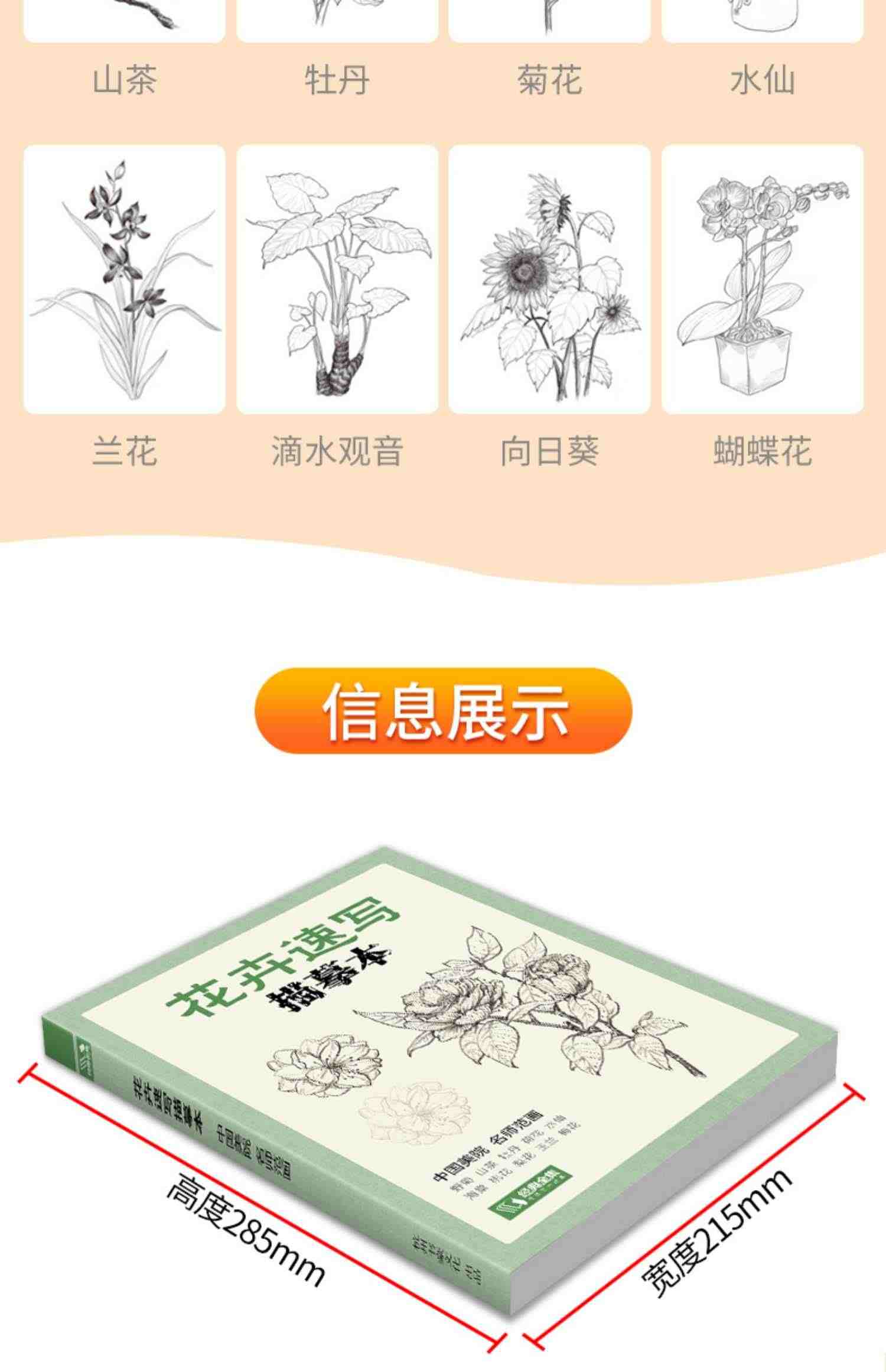 花卉速写描摹本 零基础画画入门新手自学教程书籍线描花卉临摹手绘初学者学绘画教材铅笔画素描速写描摹画稿美院名师范画