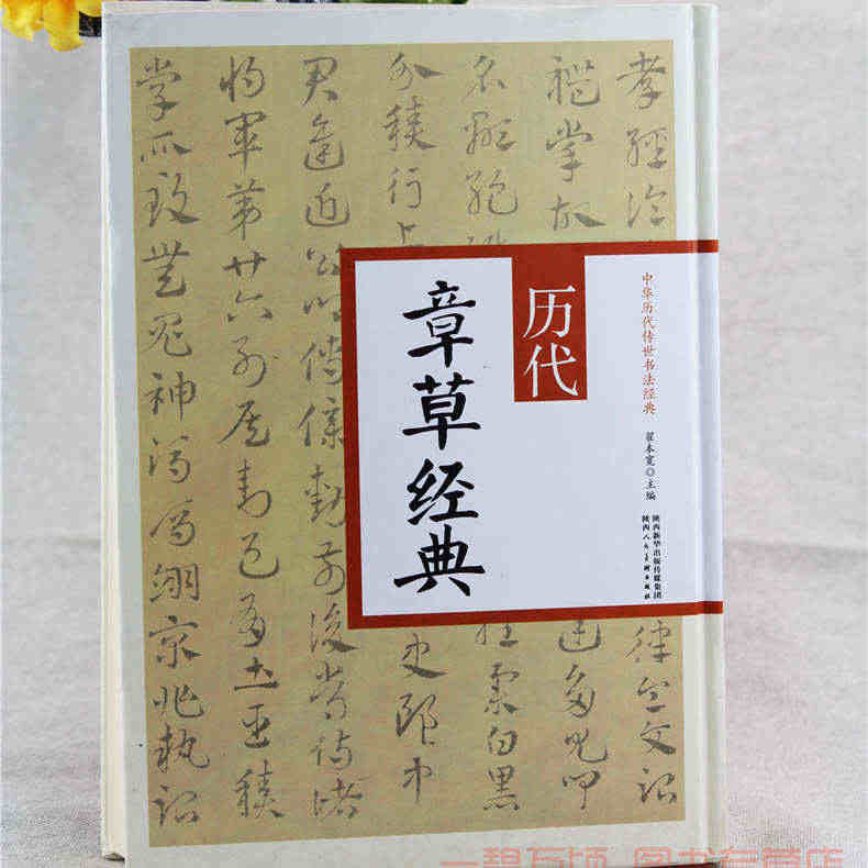 正版 中华历代传世书法经典 历代章草经典 中国书法传世经典碑帖字帖吴入...