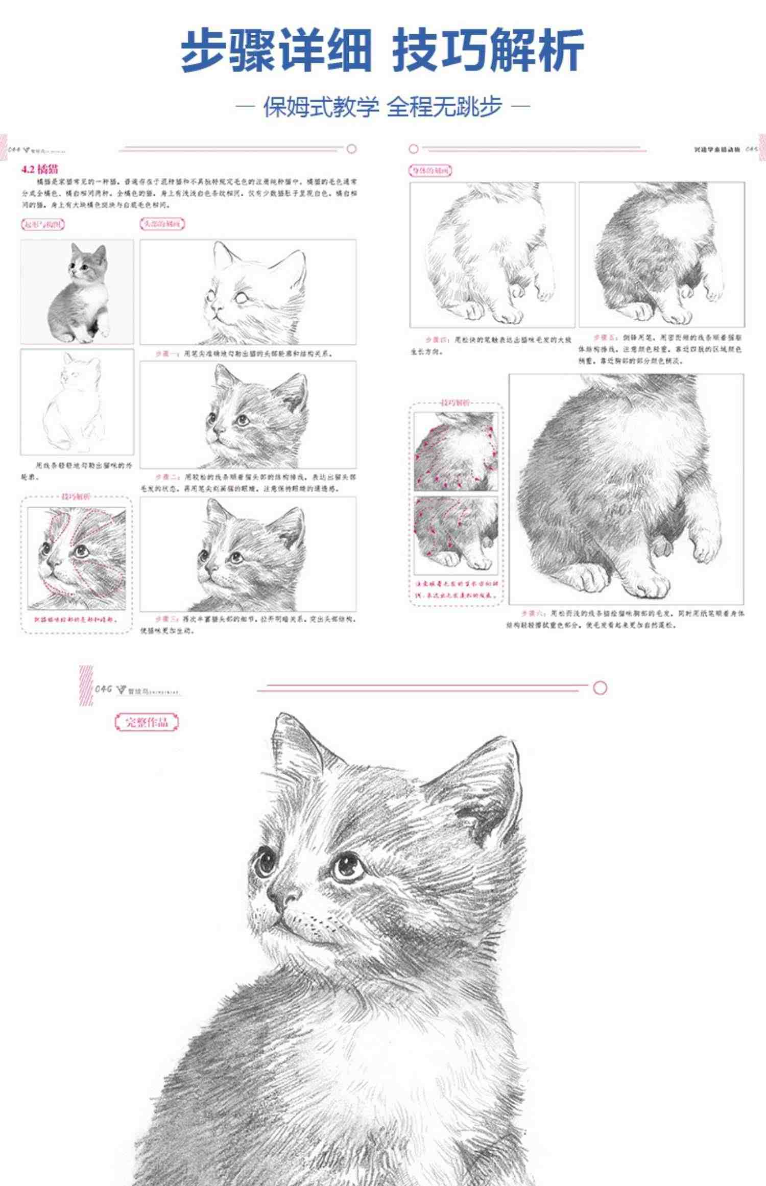 兴趣学素描动物 零基础入门美术绘画基础教程书临摹范本铅笔初级手绘画册图册本范画简单精微自学技法儿童兴趣教材教学书籍初学者