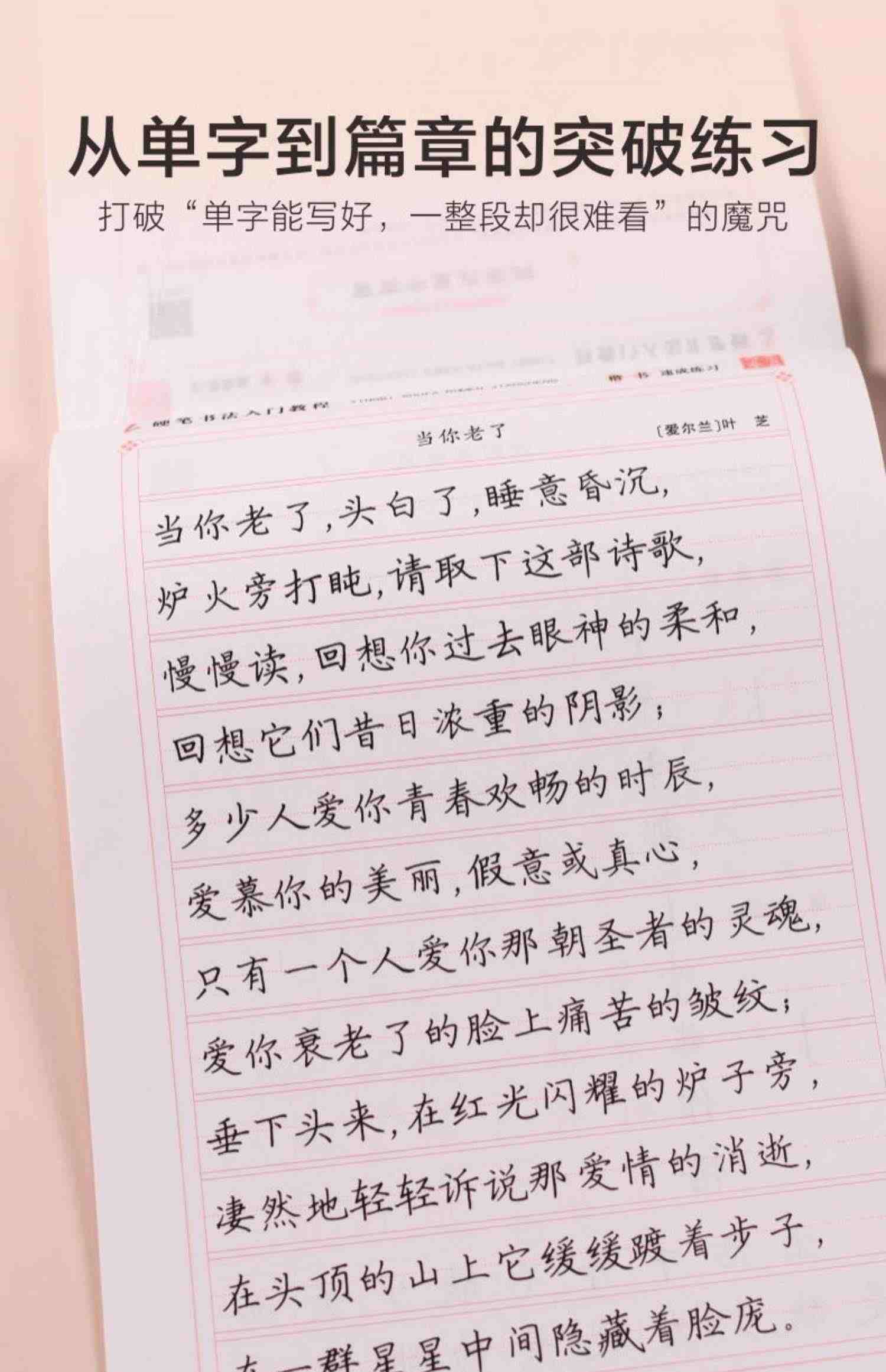 卢中南楷书字帖硬笔书法笔画偏旁间架结构成人大中小学生描红速成初学者书法班楷书入门教程钢笔正楷临摹练字