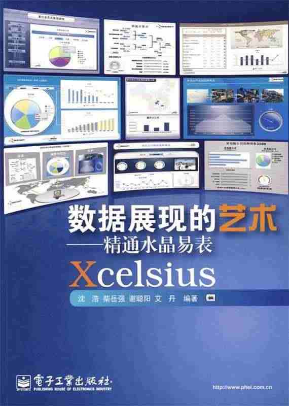 正版现货 数据展现的艺术——精通水晶易表Xcelsius 沈浩 电子工...