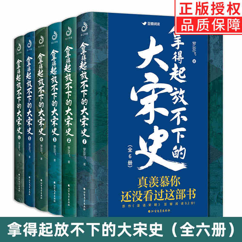 【现货正版】全套6册拿得起放不下的大宋史罗亚飞 南宋北宋史历史 明朝那...