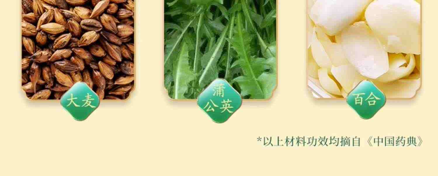 同仁堂菊苣栀子茶(非祛排高尿酸痛去风清降茶)正品官方旗舰店养生