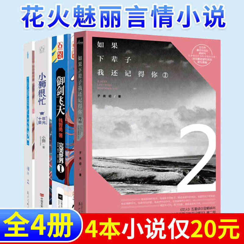 4本20元 花火图书 小狮很忙①② 御剑飞天Ⅰ完美世界等共4本打包 青...