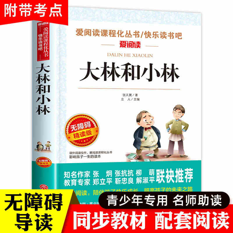 大林和小林正版三年级四年级阅读课外书必读老师推荐张天翼儿童文学全集童话...