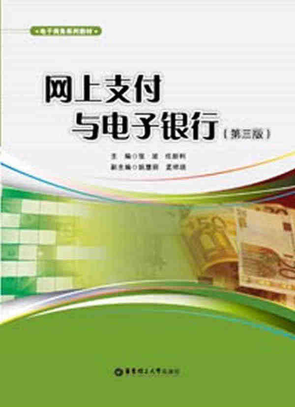 正版包邮 网上支付与电子银行 张波 书店 运营推广书籍 畅想畅销书...