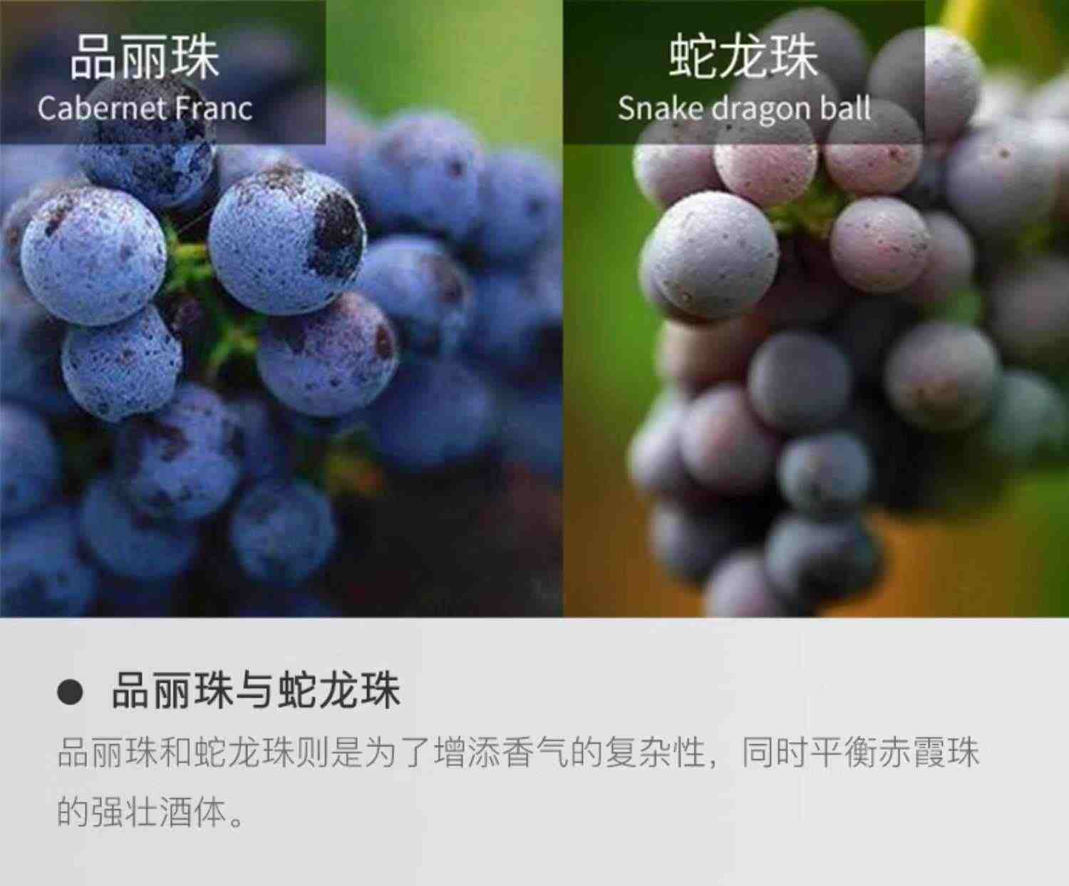 中粮长城干红葡萄酒红酒沙城精选御秘橡木桶陈酿解百纳6支整箱