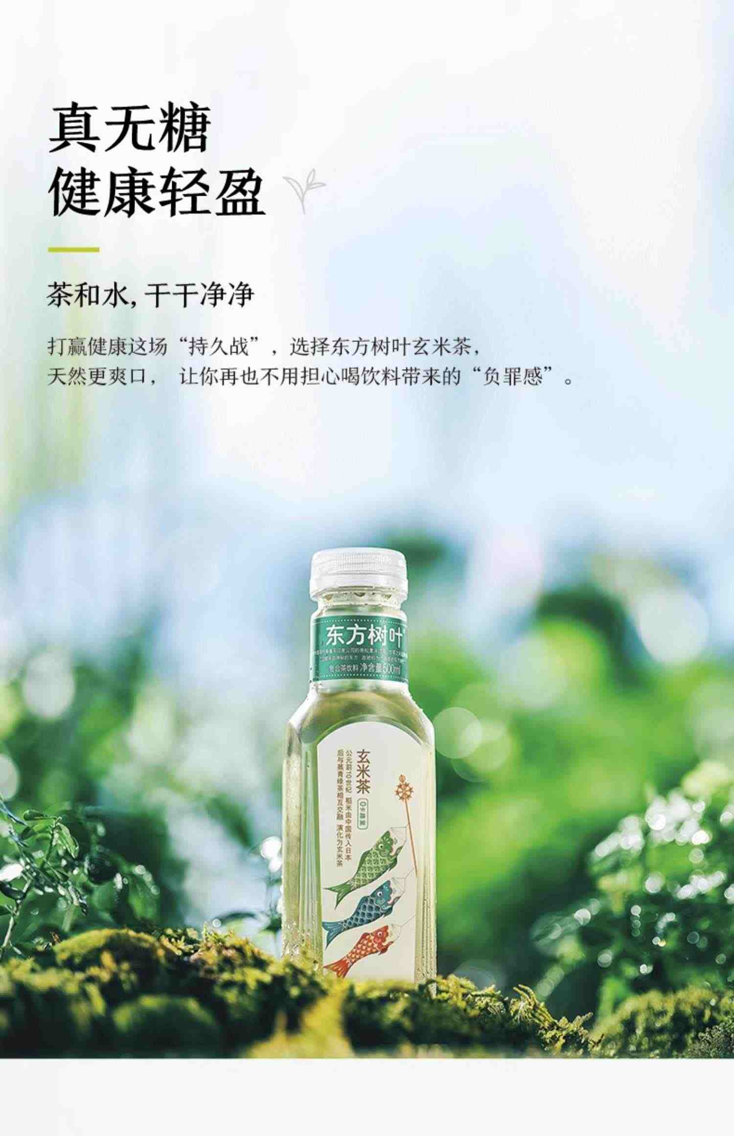 农夫山泉东方树叶黑乌龙无糖茶饮料900ml整箱批发特价茉莉花茶500