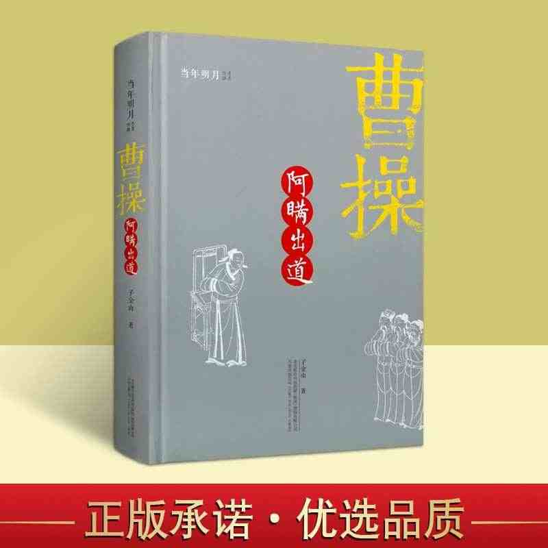 曹操 阿瞒出道 子金山 著 当年明月 历史著名政治军事人物传记 中国古...