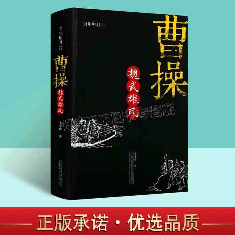 曹操 魏武雄风 子金山三国志乱世英雄曹操传 当年明月 历代帝王三国权臣...