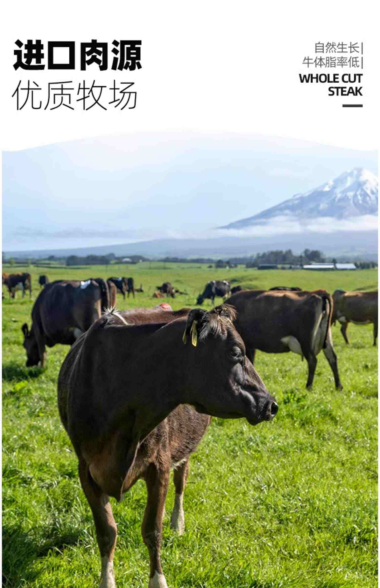 【大希地】家用牛排新鲜牛肉原肉整切10片儿童黑椒菲力西冷牛扒厚