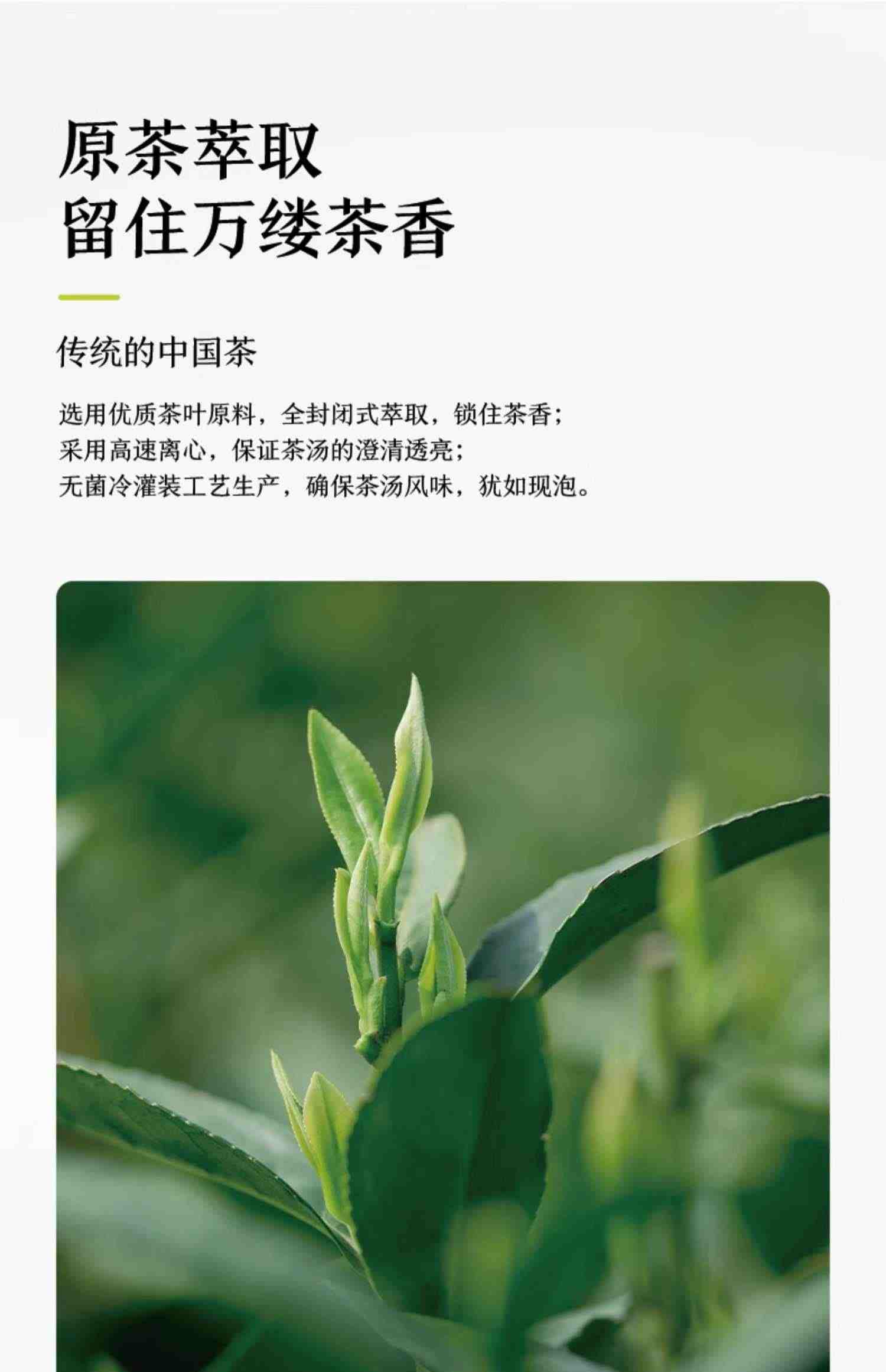 农夫山泉东方树叶黑乌龙无糖茶饮料900ml整箱批发特价茉莉花茶500