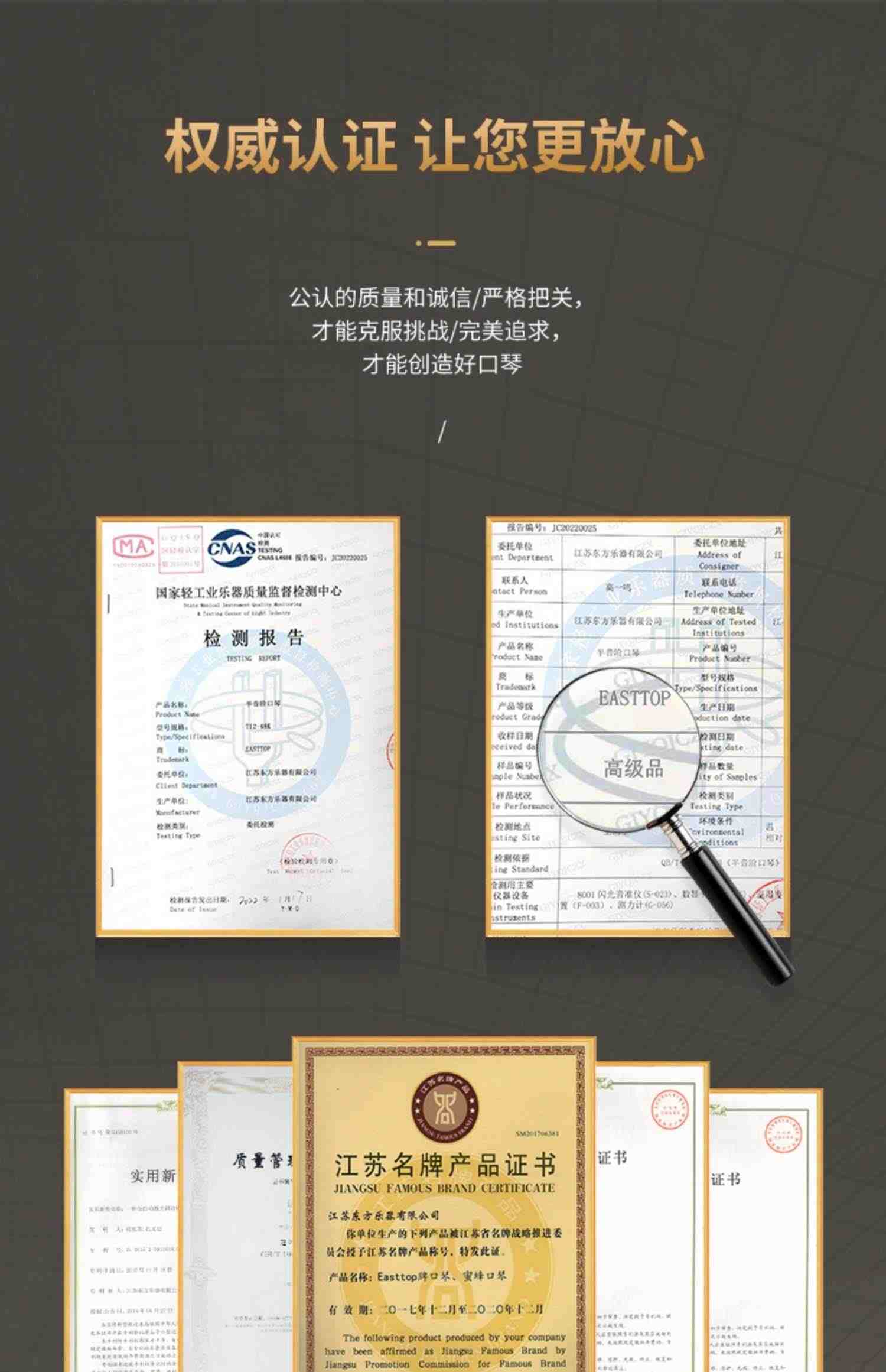 EASTTOP东方鼎T008K蓝调初学布鲁斯十孔口琴入门10孔琴专业演奏款